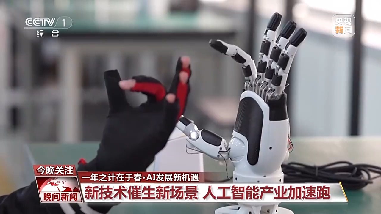 可以根据泰